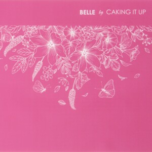 Belle Mesh Caking It Up Belle Mesh Stencil