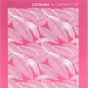 Catalina Mesh Caking It Up Catalina Mesh Stencil
