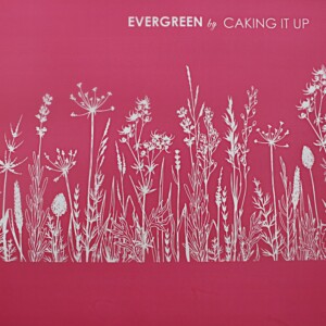 Evergreen Mesh Caking It Up Evergreen Mesh Stencil