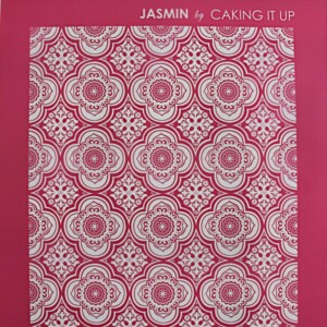Jasmin Mesh Caking It Up Jasmin Mesh Stencil