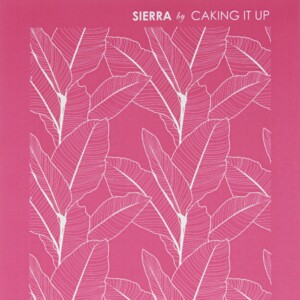 Sierra Mesh Caking It Up Sierra Mesh Stencil