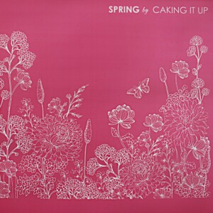 Spring Mesh Caking It Up Spring Mesh Stencil
