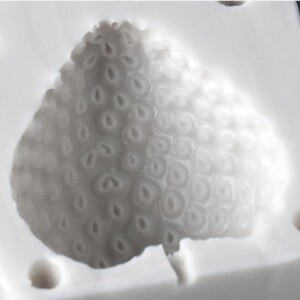 Strawberry Whole Fruit