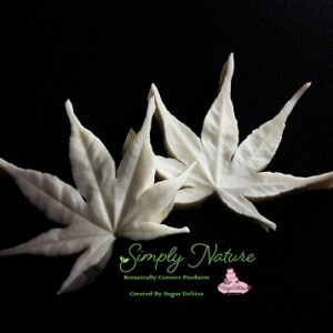 Japanese Maple Leaf Veiner by Simply Nature