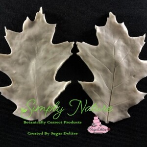 Oak Leaf Veiner by Simply Nature